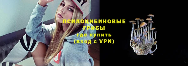 гидра Белоозёрский