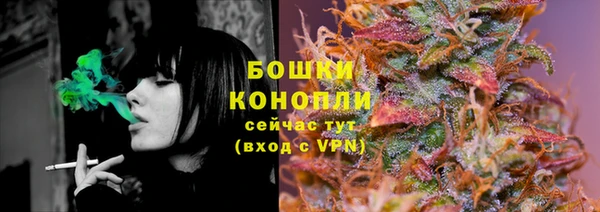 гидра Белоозёрский