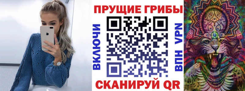 Псилоцибиновые грибы Psilocybe  Кудымкар 